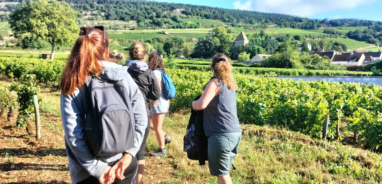 Marcheurs surplombant le vignoble de Santenay