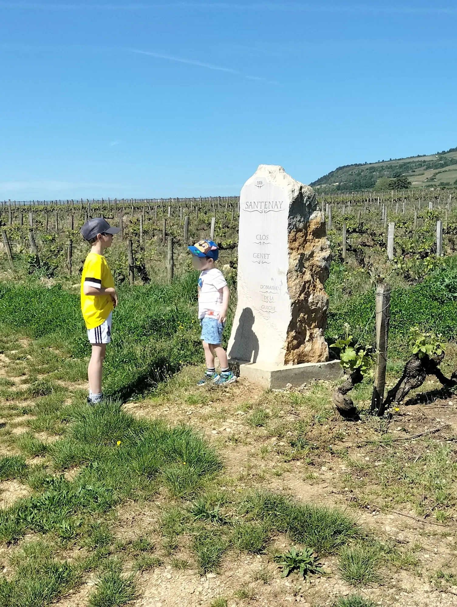 Visite des vignes en famille