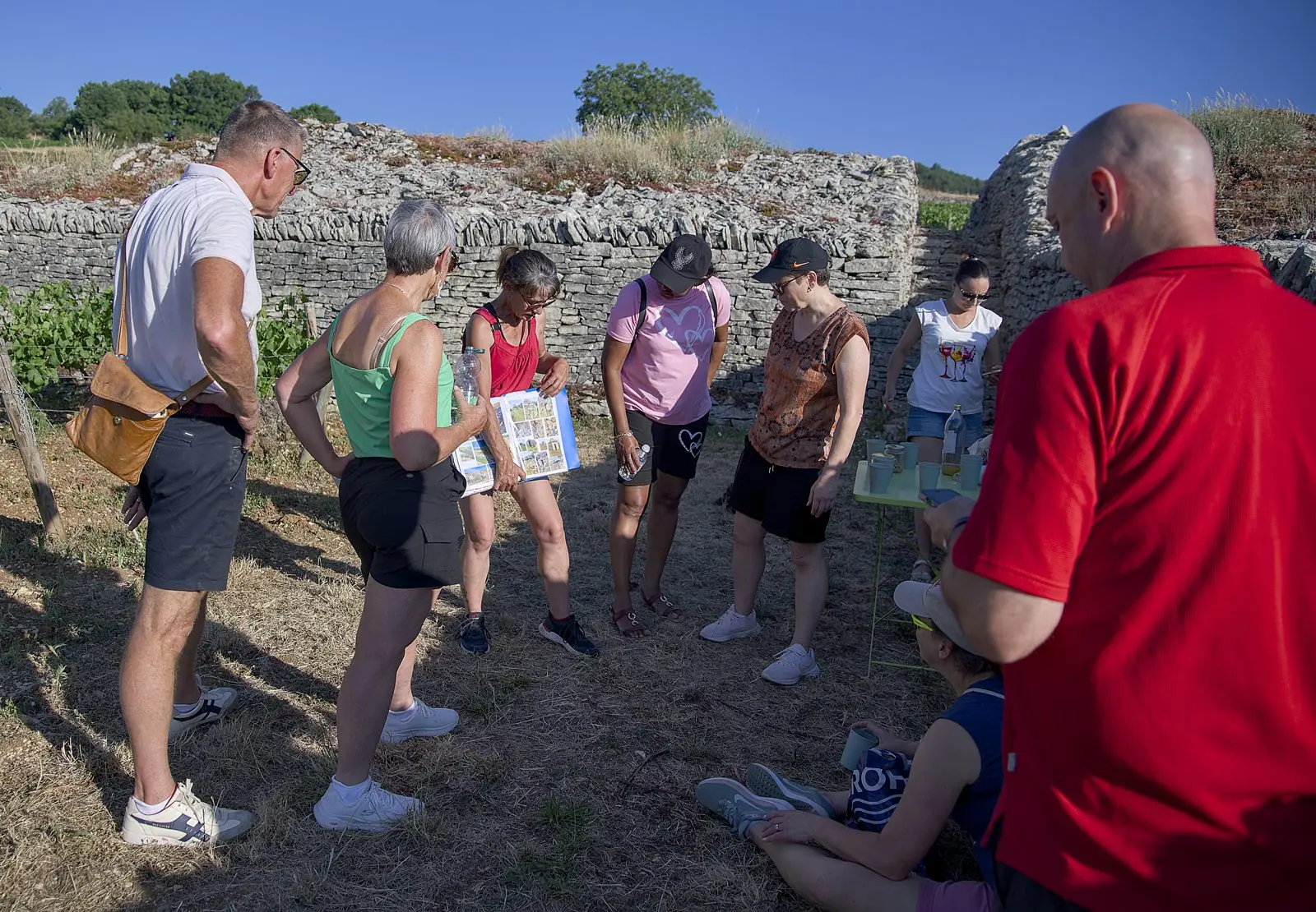 Céline et un groupe autour de ses carnets, près d'une cabotte de vigne