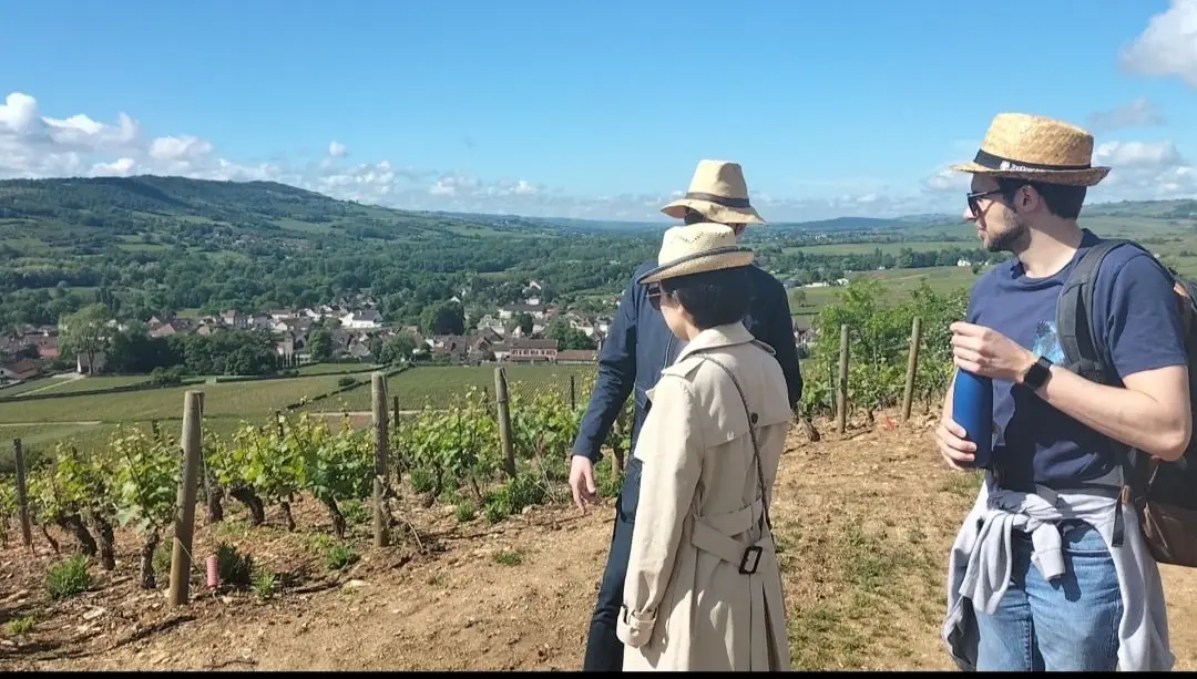 Visiteurs surplombant le village de Santenay et son vignoble